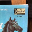 画像3: 1966s Walt Disney "Black Beauty" Record / LP (3)