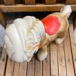 画像6: 1961s Edward Mobley Rubber Squeak Doll "Horse" Sleep Eyes (6)