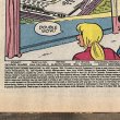 画像2: 1991s Archie Comics "Betty and Veronica" (2)